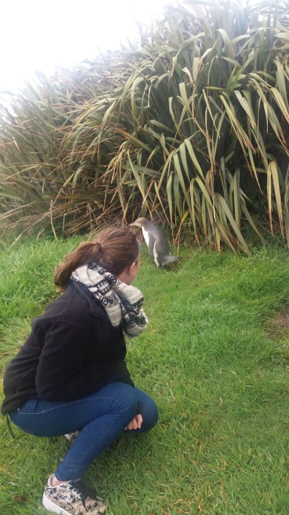 Eine junge Frau beobachtet einen Pinguin.