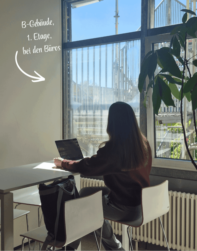 Marlene arbeitet am Laptop am Fenster im B-Gebäude