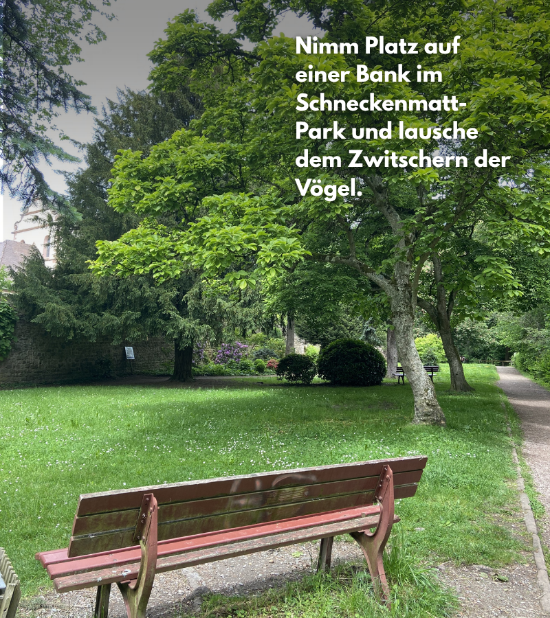 Der Schneckenmatt Park in Gengenbach